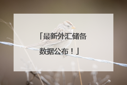 最新外汇储备数据公布！