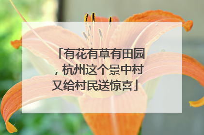 有花有草有田园，杭州这个景中村又给村民送惊喜