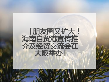 朋友圈又扩大！海南自贸港宣传推介及经贸交流会在大阪举办