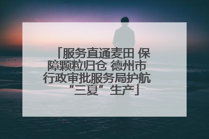 服务直通麦田 保障颗粒归仓 德州市行政审批服务局护航“三夏”生产