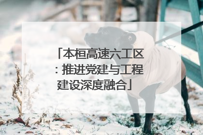 本桓高速六工区：推进党建与工程建设深度融合