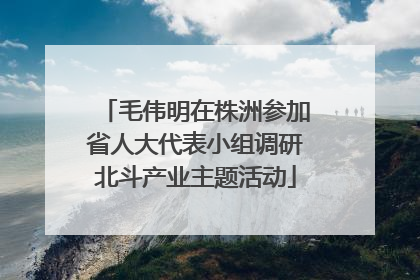 毛伟明在株洲参加省人大代表小组调研北斗产业主题活动