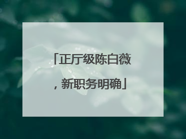 正厅级陈白薇，新职务明确