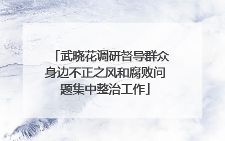 武晓花调研督导群众身边不正之风和腐败问题集中整治工作