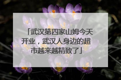 武汉第四家山姆今天开业，武汉人身边的超市越来越精致了
