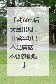 武汉雨后大量出现，非常罕见！不是蘑菇，不要随便吃