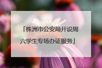 株洲市公安局开设周六学生专场办证服务