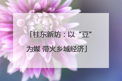 桂东新坊：以“豆”为媒 带火乡域经济