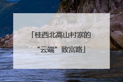 桂西北高山村寨的“云端”致富路