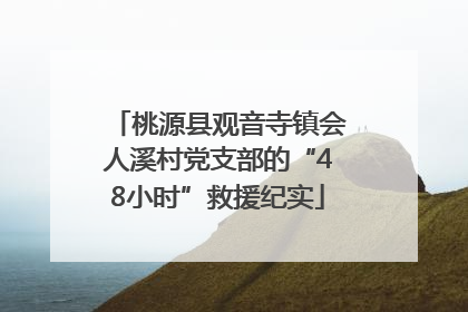 桃源县观音寺镇会人溪村党支部的“48小时”救援纪实
