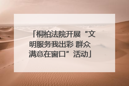 桐柏法院开展“文明服务我出彩 群众满意在窗口”活动