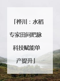 桦川：水稻专家田间把脉 科技赋能单产提升