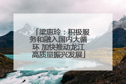 梁惠玲：积极服务和融入国内大循环 加快推动龙江高质量振兴发展