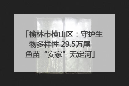 榆林市横山区：守护生物多样性 29.5万尾鱼苗“安家”无定河