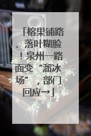 榕果铺路、落叶糊脸！泉州一路面变“溜冰场”，部门回应→