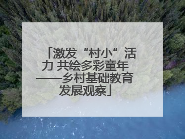 激发“村小”活力 共绘多彩童年——乡村基础教育发展观察