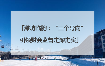 潍坊临朐：“三个导向”引领财会监督走深走实