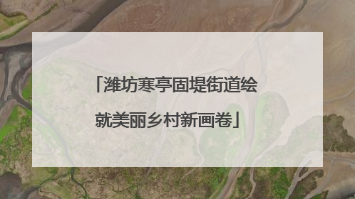 潍坊寒亭固堤街道绘就美丽乡村新画卷