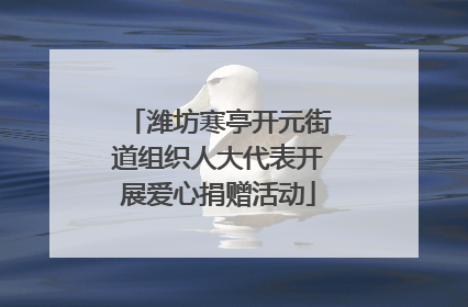 潍坊寒亭开元街道组织人大代表开展爱心捐赠活动