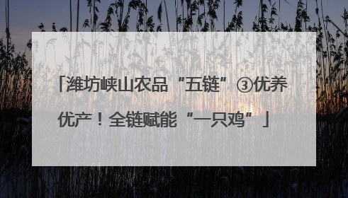 潍坊峡山农品“五链”③优养优产！全链赋能“一只鸡”