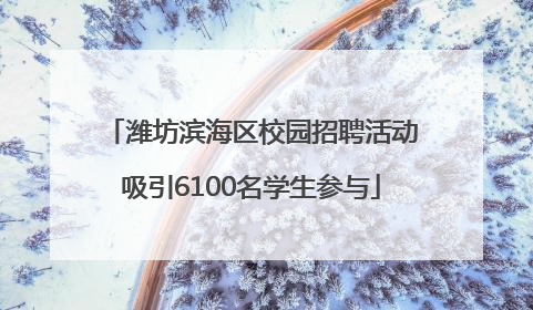 潍坊滨海区校园招聘活动吸引6100名学生参与