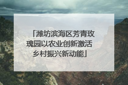 潍坊滨海区芳青玫瑰园以农业创新激活乡村振兴新动能