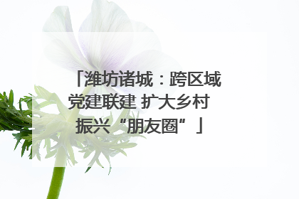 潍坊诸城：跨区域党建联建 扩大乡村振兴“朋友圈”