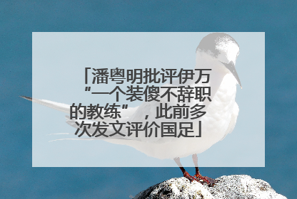潘粤明批评伊万“一个装傻不辞职的教练”，此前多次发文评价国足