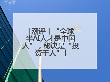 潮评丨“全球一半AI人才是中国人”，秘诀是“投资于人”