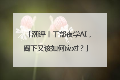 潮评丨干部夜学AI，阁下又该如何应对？