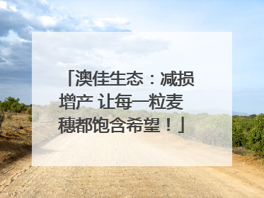 澳佳生态：减损增产 让每一粒麦穗都饱含希望！