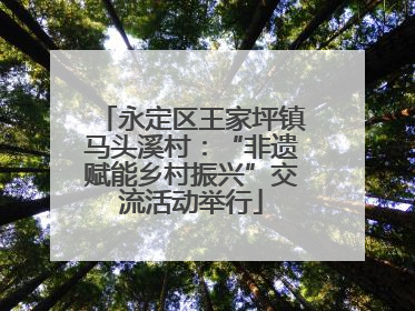永定区王家坪镇马头溪村：“非遗赋能乡村振兴”交流活动举行