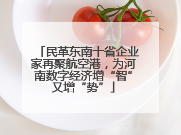 民革东南十省企业家再聚航空港，为河南数字经济增“智”又增“势”