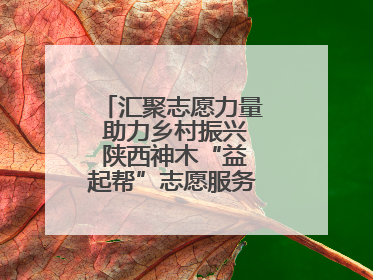 汇聚志愿力量 助力乡村振兴 陕西神木“益起帮”志愿服务项目成效显著