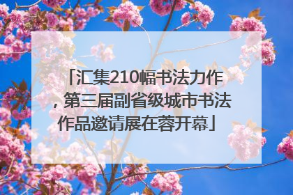 汇集210幅书法力作，第三届副省级城市书法作品邀请展在蓉开幕