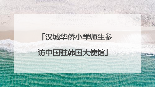 汉城华侨小学师生参访中国驻韩国大使馆
