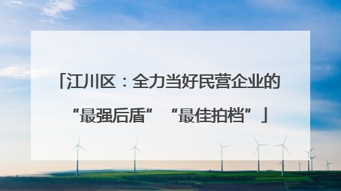 江川区：全力当好民营企业的“最强后盾”“最佳拍档”