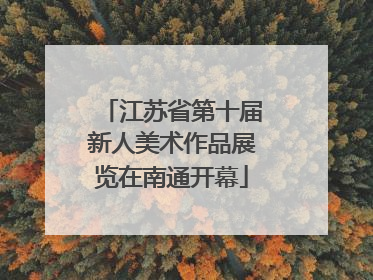 江苏省第十届新人美术作品展览在南通开幕