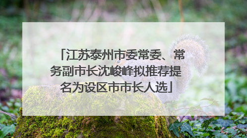 江苏泰州市委常委、常务副市长沈峻峰拟推荐提名为设区市市长人选
