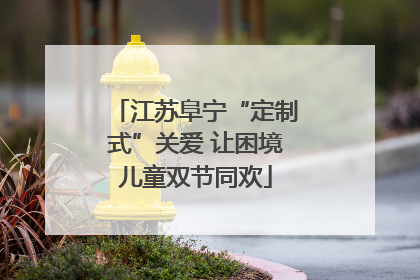 江苏阜宁“定制式”关爱 让困境儿童双节同欢