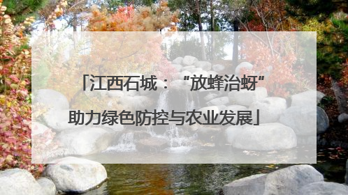 江西石城：“放蜂治蚜”助力绿色防控与农业发展