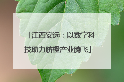 江西安远：以数字科技助力脐橙产业腾飞