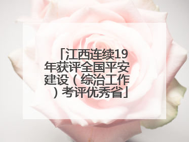 江西连续19年获评全国平安建设（综治工作）考评优秀省