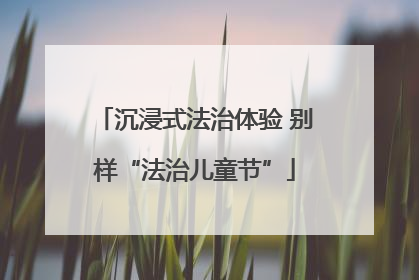 沉浸式法治体验 别样“法治儿童节”