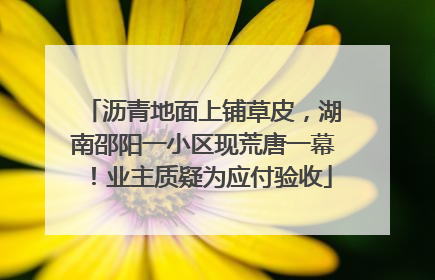 沥青地面上铺草皮，湖南邵阳一小区现荒唐一幕！业主质疑为应付验收