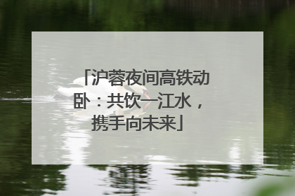 沪蓉夜间高铁动卧：共饮一江水，携手向未来