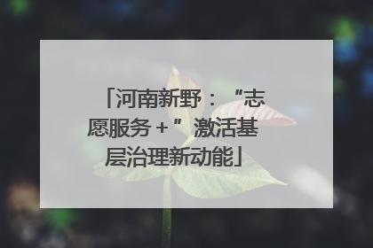 河南新野：“志愿服务＋”激活基层治理新动能