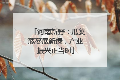 河南新野：瓜蒌藤蔓展新绿，产业振兴正当时
