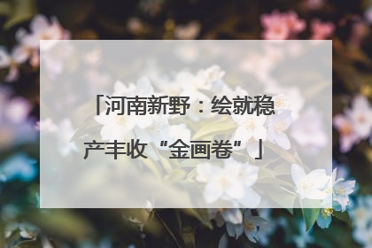 河南新野：绘就稳产丰收“金画卷”