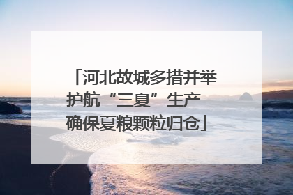 河北故城多措并举护航“三夏”生产 确保夏粮颗粒归仓
